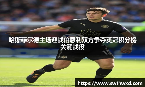 哈斯菲尔德主场迎战伯恩利双方争夺英冠积分榜关键战役