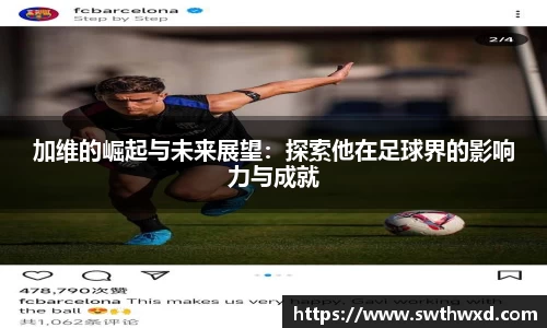 星空·综合体育官方网站